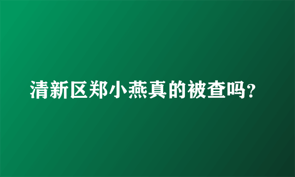 清新区郑小燕真的被查吗？