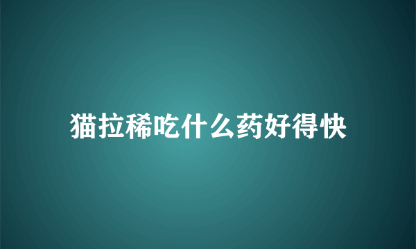 猫拉稀吃什么药好得快