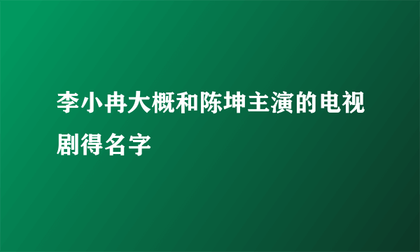 李小冉大概和陈坤主演的电视剧得名字