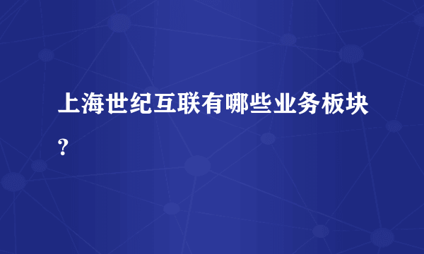 上海世纪互联有哪些业务板块？