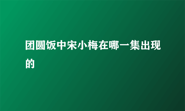 团圆饭中宋小梅在哪一集出现的