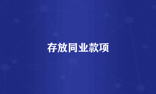 存放同业款项