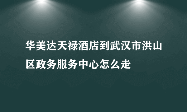 华美达天禄酒店到武汉市洪山区政务服务中心怎么走
