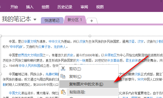 怎样把图片上的文字变成word文档
