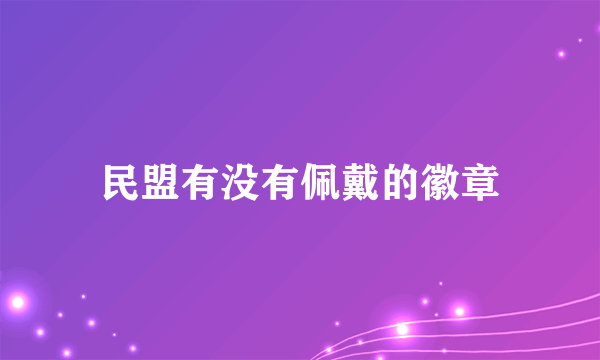 民盟有没有佩戴的徽章