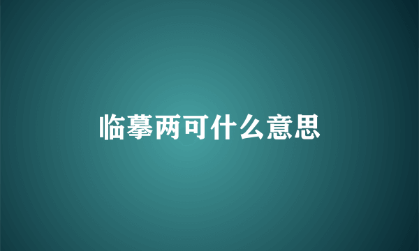 临摹两可什么意思