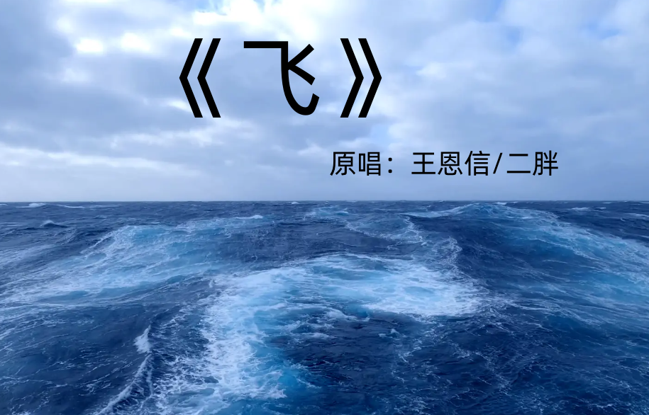 风浪没平息我宣告奔跑的意义是什么歌