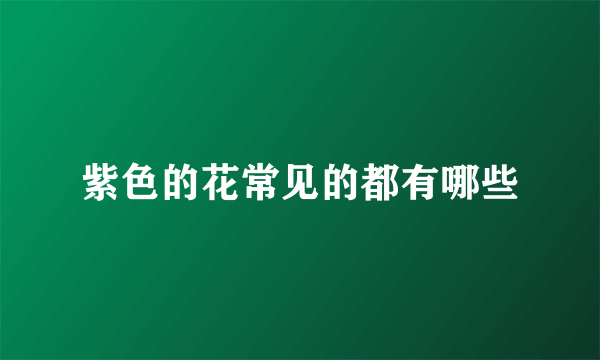 紫色的花常见的都有哪些