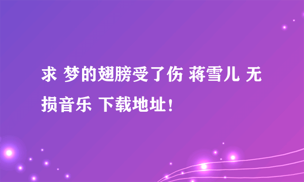 求 梦的翅膀受了伤 蒋雪儿 无损音乐 下载地址！