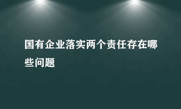 国有企业落实两个责任存在哪些问题