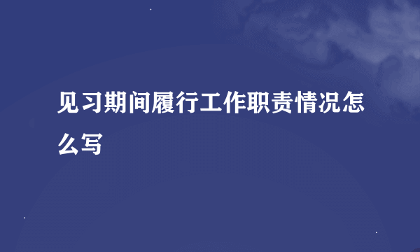见习期间履行工作职责情况怎么写
