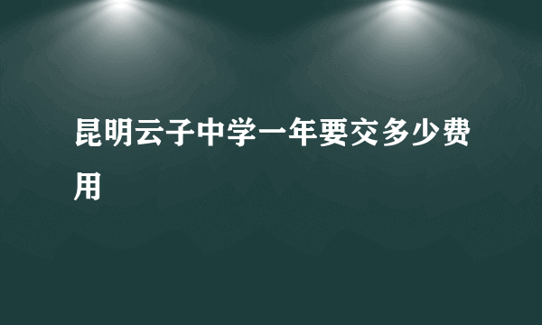 昆明云子中学一年要交多少费用