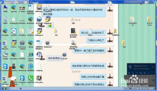 谁有最新的teamviewer 12 免安装版，无限换ip的