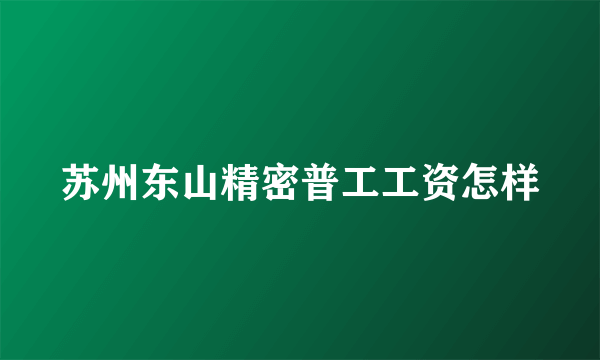 苏州东山精密普工工资怎样