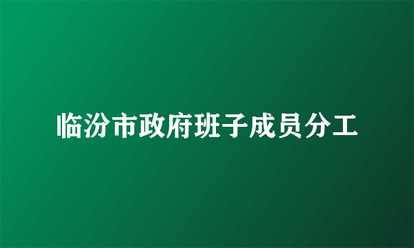 临汾市政府班子成员分工