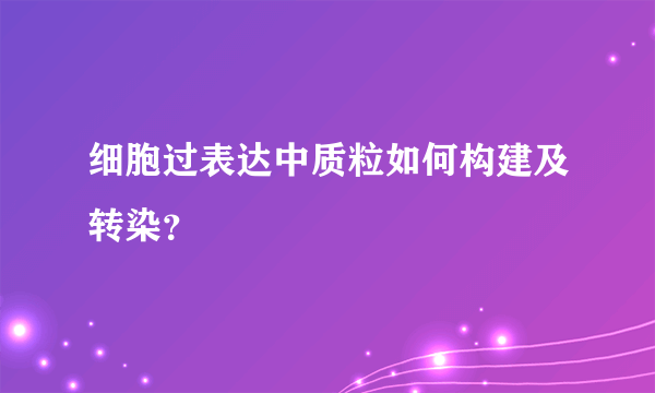 细胞过表达中质粒如何构建及转染？
