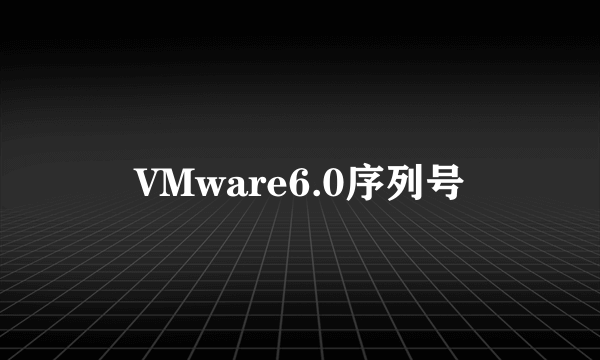 VMware6.0序列号