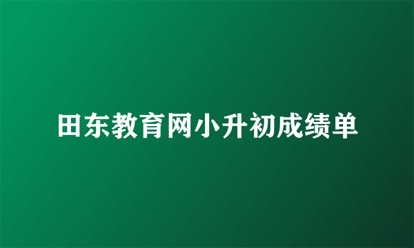 田东教育网小升初成绩单