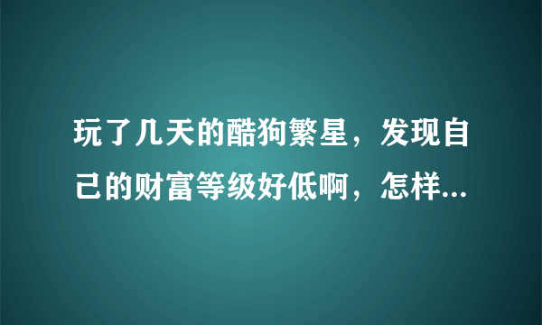 玩了几天的酷狗繁星，发现自己的财富等级好低啊，怎样才能快速升级？