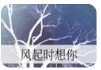 风起时想你_by江小绿_txt全文阅读，百度网盘免费下载