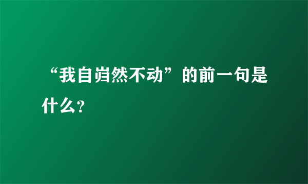 “我自岿然不动”的前一句是什么？