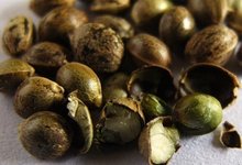 火麻油是什么油？