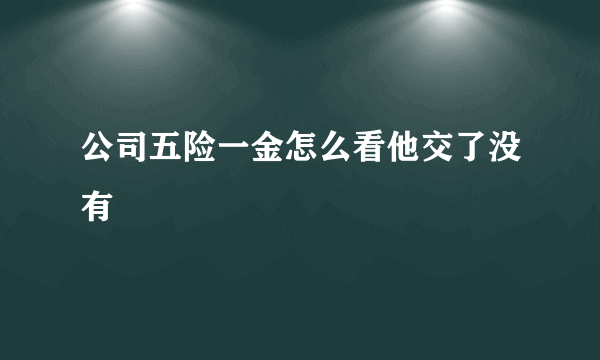 公司五险一金怎么看他交了没有