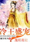 冷王盛宠魔眼毒妃_by侧耳听风_txt全文阅读，百度网盘免费下载
