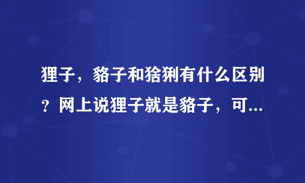 狸子，貉子和猞猁有什么区别？网上说狸子就是貉子，可是照片上看不一样啊？貉子像狗，猞猁和狸子又像猫？
