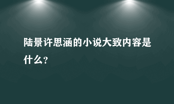 陆景许思涵的小说大致内容是什么？