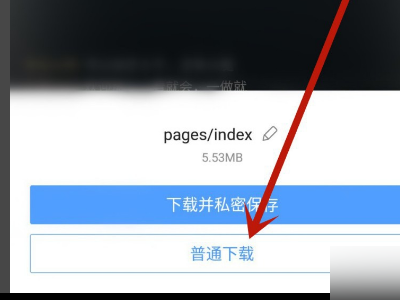 请问手机淘宝主页描述视频怎么下载？