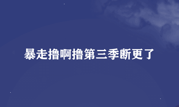 暴走撸啊撸第三季断更了