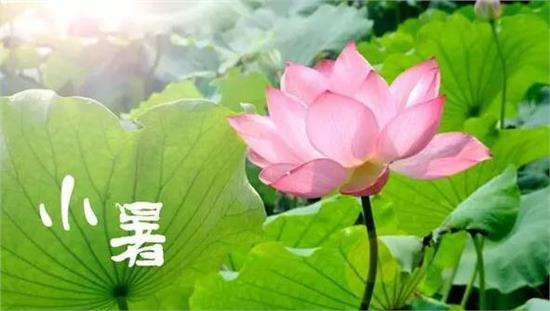 有关小暑节气的古诗词诗句有哪些