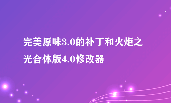 完美原味3.0的补丁和火炬之光合体版4.0修改器