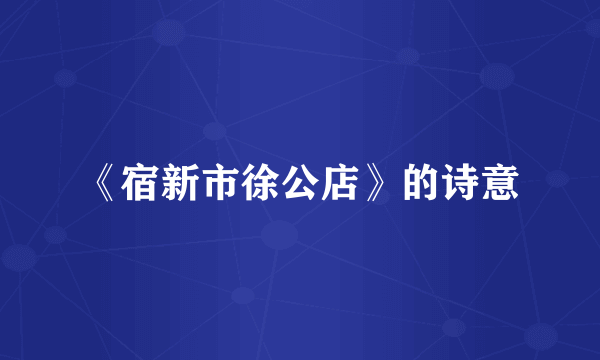 《宿新市徐公店》的诗意