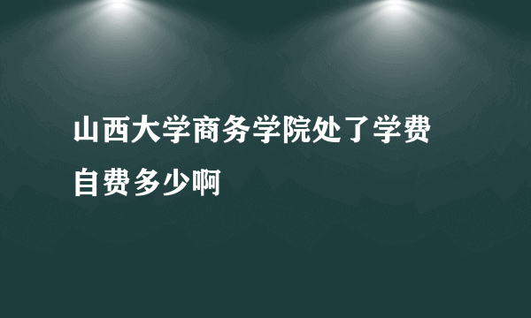山西大学商务学院处了学费 自费多少啊