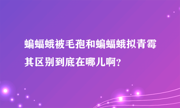 蝙蝠蛾被毛孢和蝙蝠蛾拟青霉其区别到底在哪儿啊？