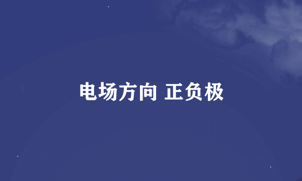电场方向 正负极