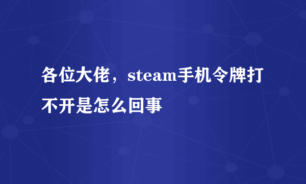 各位大佬，steam手机令牌打不开是怎么回事