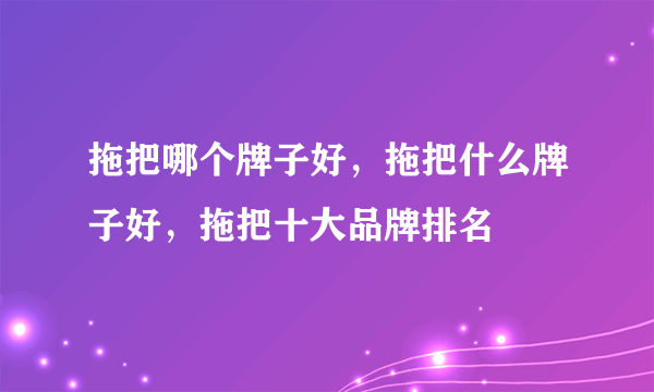 拖把哪个牌子好，拖把什么牌子好，拖把十大品牌排名