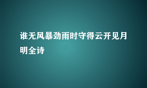 谁无风暴劲雨时守得云开见月明全诗