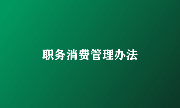 职务消费管理办法