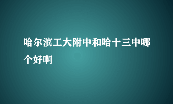 哈尔滨工大附中和哈十三中哪个好啊