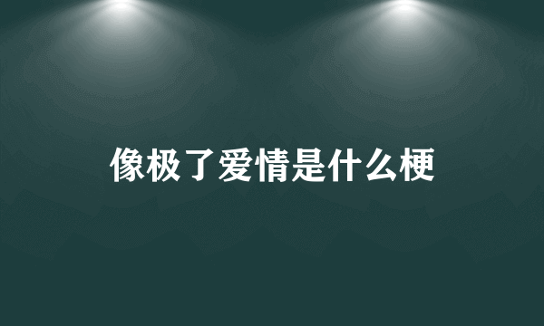 像极了爱情是什么梗