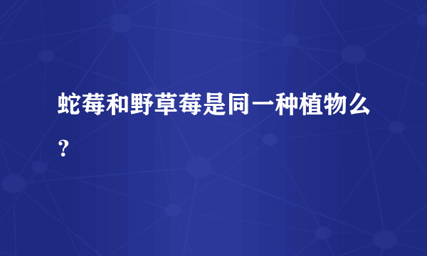 蛇莓和野草莓是同一种植物么？
