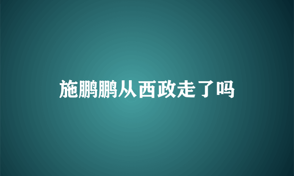 施鹏鹏从西政走了吗