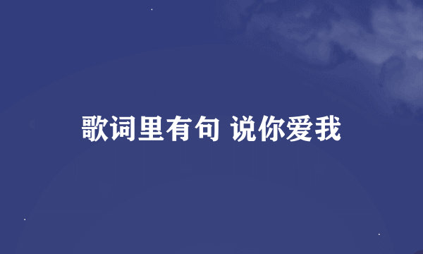 歌词里有句 说你爱我