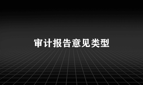 审计报告意见类型