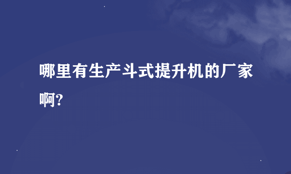 哪里有生产斗式提升机的厂家啊?