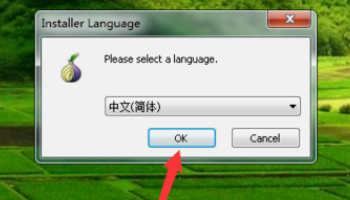 你好。请问tor浏览器怎么设置中文